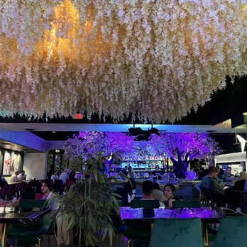 Shibuya Nights - Japanese Near Me - San Diego, California Shibuya Nights - Japanese Near Me - San Diego, California