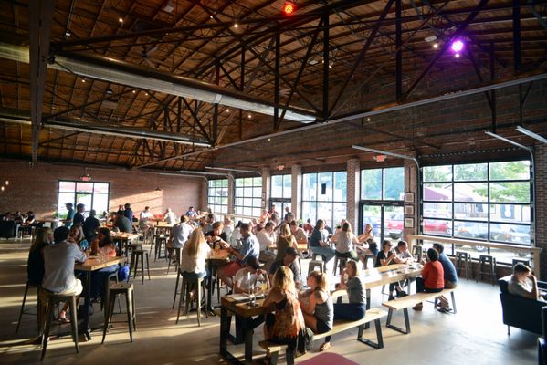 Elation Brewing by null