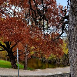 Brushy Creek Regional Trail - Brushy Creek