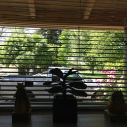 Amy Thu Tran, DDS - My beautiful view of the park.