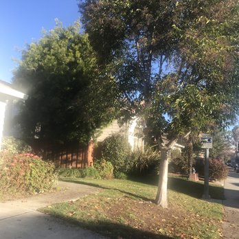 Kelley's Tree Service - Before - Tree Services Near Me Kelley's Tree Service - Before - Tree Services Near Me