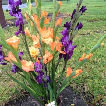 Eternal Hills Memorial Park - Funeral Services & Cemeteries Near Me - Oceanside, California
