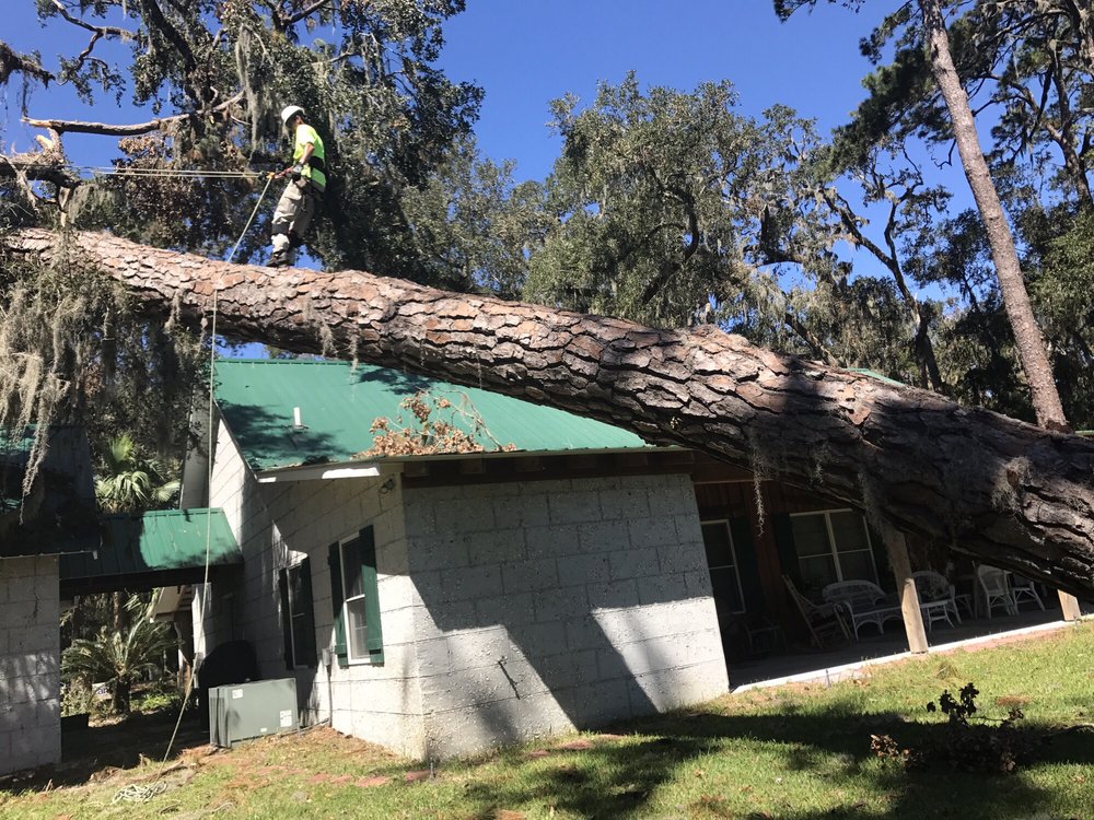 Southern Tree Experts - tree service in Savannah, GA