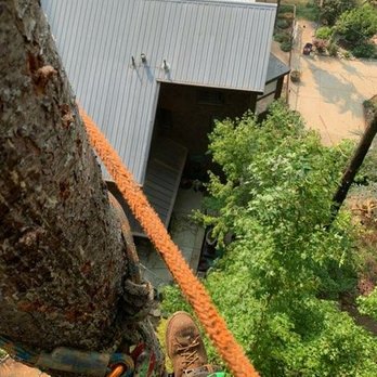Am/Pm Tree Service - Tree Services Near Me - Vallejo, California