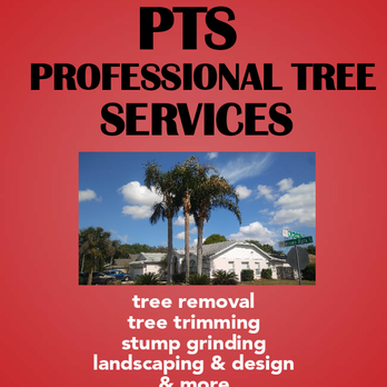 Blands Tree Services - a tree trimming stump grinding landscaping and design - Tree Services Near Me Blands Tree Services - a tree trimming stump grinding landscaping and design - Tree Services Near Me