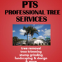 Photo of Blands Tree Services