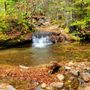 Photo of The Basin