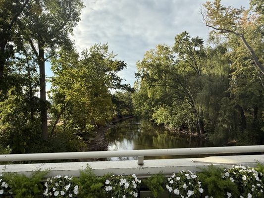 Michigan State University by null