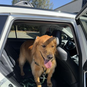 Paws At Main - Pet Groomers Near Me - Corona, California Paws At Main - Pet Groomers Near Me - Corona, California
