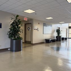 BMO Bank