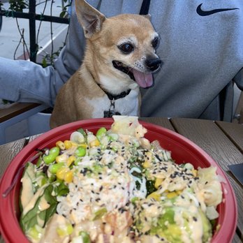 Poke Pola - Regular Bowl - Poke Near Me - Long Beach, California
