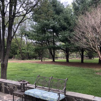 J & B Tree Services - Edge of yard after all work completed - Tree Services Near Me - Gaithersburg, Maryland