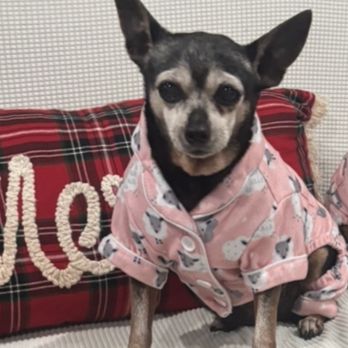 At Garden's Edge - Rip my sweet fur baby - Pet Cremation Services Near Me - Alhambra, California At Garden's Edge - Rip my sweet fur baby - Pet Cremation Services Near Me - Alhambra, California
