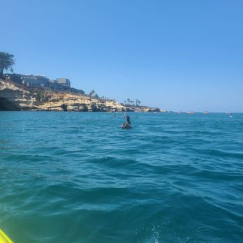 La Jolla Kayak - Tours Near Me - La Jolla, California