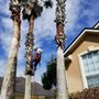 Photo of Ocean View Landscape Management
