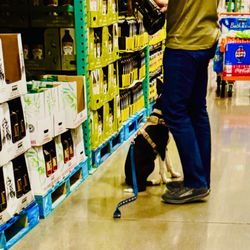 Costco Wholesale - Inside