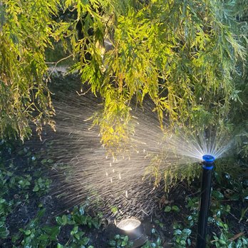 King Lawn Sprinkler - Irrigation Near Me - Dallas, Texas King Lawn Sprinkler - Irrigation Near Me - Dallas, Texas