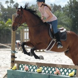 Bit-By-Bit Therapeutic Riding Center