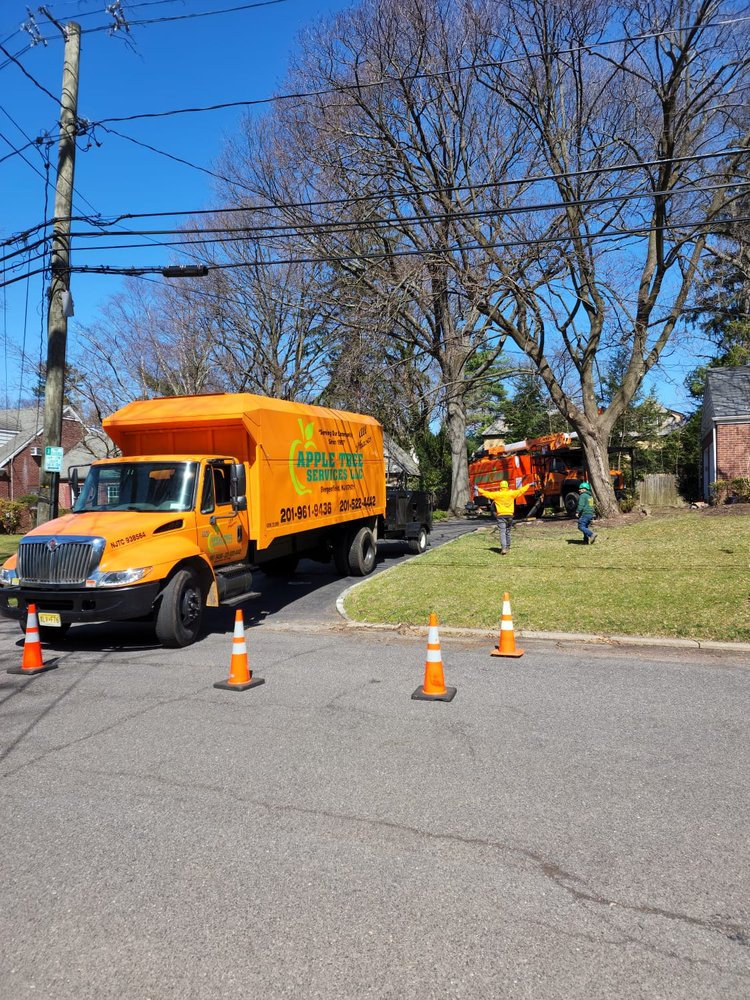 APPLE TREE SERVICES 20 Photos 2 N Demarest Ave, Bergenfield, NJ Yelp