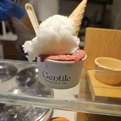 Gelateria Gentile by null