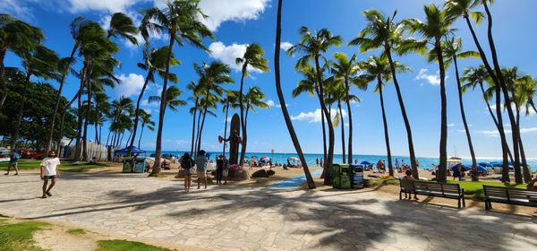 Waikīkī Beach by null