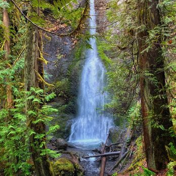 Marymere Falls - iPhone picture of Marymere Falls - Hiking Near Me - Port Angeles, Washington Marymere Falls - iPhone picture of Marymere Falls - Hiking Near Me - Port Angeles, Washington