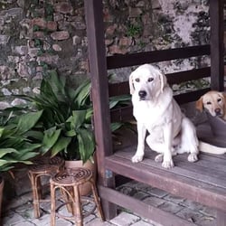 Mas Baié - Curro i Teca