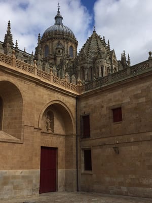 Catedral Vieja de Santa María de la Sede de Salamanca by null