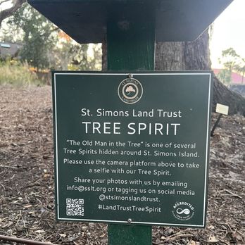 Tree Spirit Scavenger Hunt - Public Art Near Me - St. Simons Island, Georgia Tree Spirit Scavenger Hunt - Public Art Near Me - St. Simons Island, Georgia
