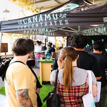 Ponderosa Dispensary - Canamo Clothing Market August 2026 - Cannabis Dispensaries Near Me - Flagstaff, Arizona Ponderosa Dispensary - Canamo Clothing Market August 2026 - Cannabis Dispensaries Near Me - Flagstaff, Arizona