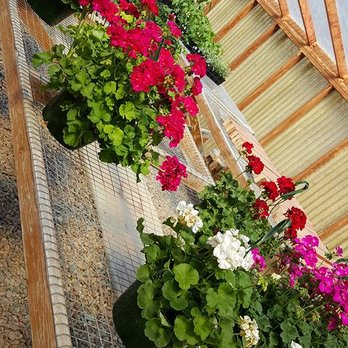 Katelyn's Flower Barn - Florists Near Me - Springfield, Colorado