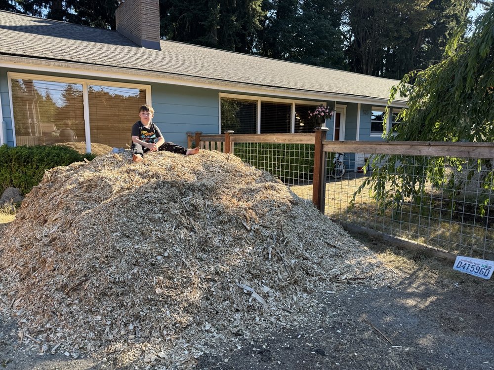 Westside Tree Care - tree service in Shoreline, WA