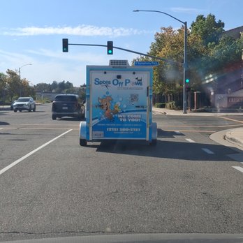 Spots Off Paws - Pet Groomers Near Me Spots Off Paws - Pet Groomers Near Me