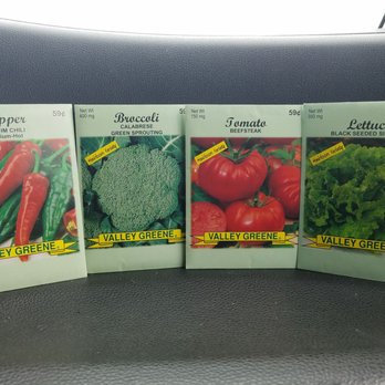 99 Cents Only Stores - Getting my garden ready! 4 for $1! - Discount Store Near Me - Dallas, Texas 99 Cents Only Stores - Getting my garden ready! 4 for $1! - Discount Store Near Me - Dallas, Texas