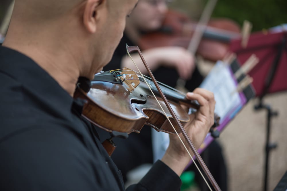 Social spots from Terra Vista Strings