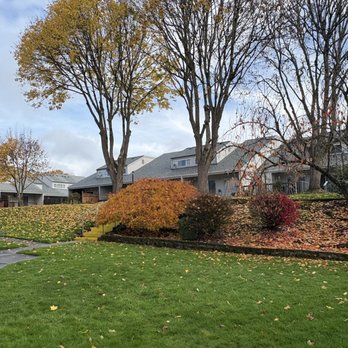 PNW Landscaping - I've Fall in and I cannot leaf - Landscape Architects or Designers Near Me - Vancouver, Washington PNW Landscaping - I've Fall in and I cannot leaf - Landscape Architects or Designers Near Me - Vancouver, Washington