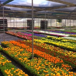 Dell's Ivy Acres Nursery