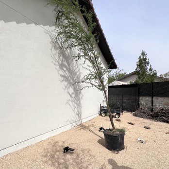Eastside Discount Nursery - Nurseries & Gardening Near Me - El Paso, Texas