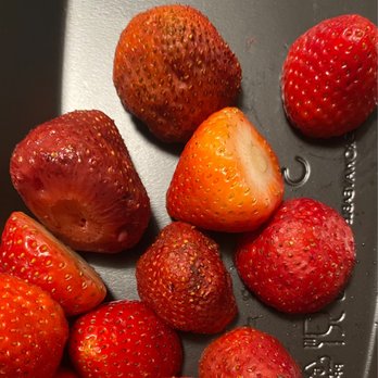 The Cheesecake Factory - Rotten strawberries from the first time they gave us rotten food. - American Near Me - Oxnard, California The Cheesecake Factory - Rotten strawberries from the first time they gave us rotten food. - American Near Me - Oxnard, California