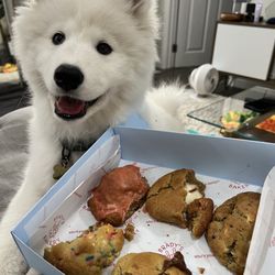 Brady's Bakery - OMFG Nutella & Chocolate Chip & birthday cake & oreo & cinnamon cream cheese & strawberry lemonade shortbread cookie