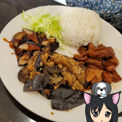 Veggie Garden by null