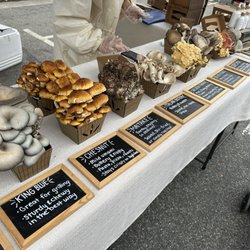 Studio City Farmers Market