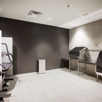 The Hepburn - To help make your life easier, we've designed a private pet grooming area. - Apartments Near Me - Washington, DC, District of Columbia The Hepburn - To help make your life easier, we've designed a private pet grooming area. - Apartments Near Me - Washington, DC, District of Columbia