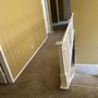 Photo of Kings Carpet Cleaning
