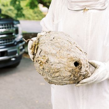 Community Pest Solutions - Pest Control Near Me - Ann Arbor, Michigan Community Pest Solutions - Pest Control Near Me - Ann Arbor, Michigan