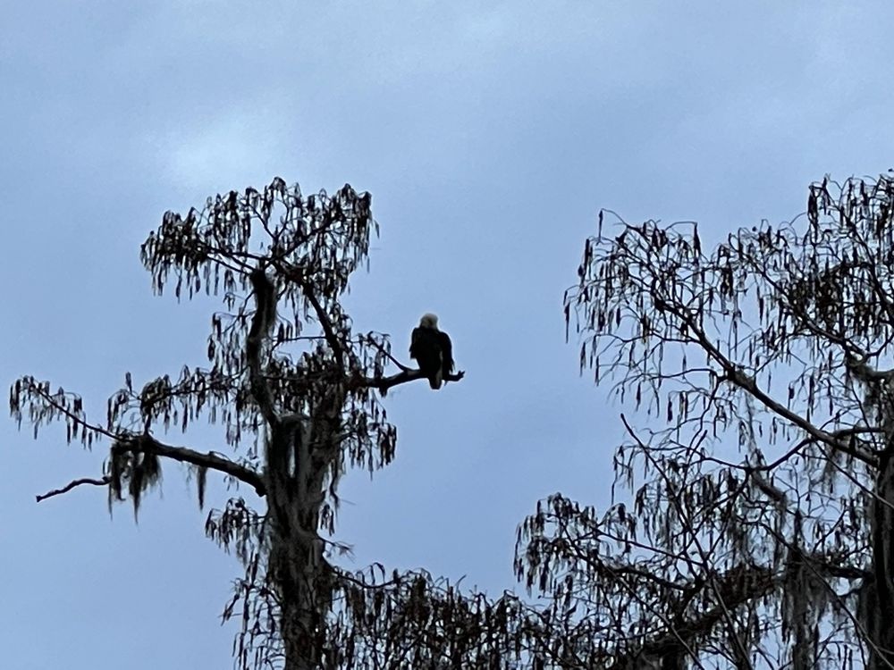 Social spots from Wild Louisiana Tours