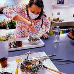 Roots Plant Studio