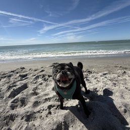 Fun times at the beach