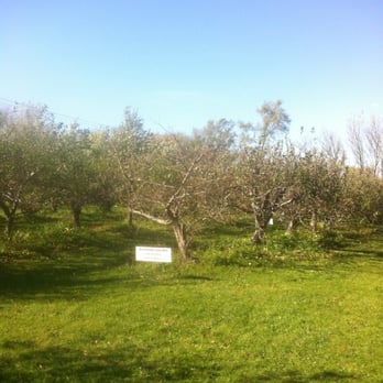 Homesetead Orchard - Pick Your Own Farms Near Me - Woodstock, Illinois Homesetead Orchard - Pick Your Own Farms Near Me - Woodstock, Illinois