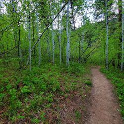 76 Trail - As the sun sets, the greens pop!